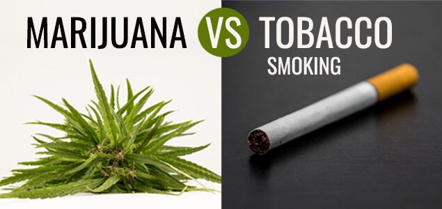 吸食大麻vs.吸烟