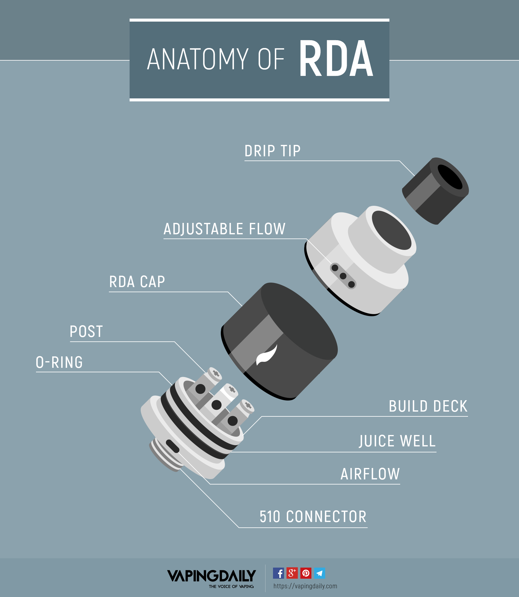 RDA信息图的解剖