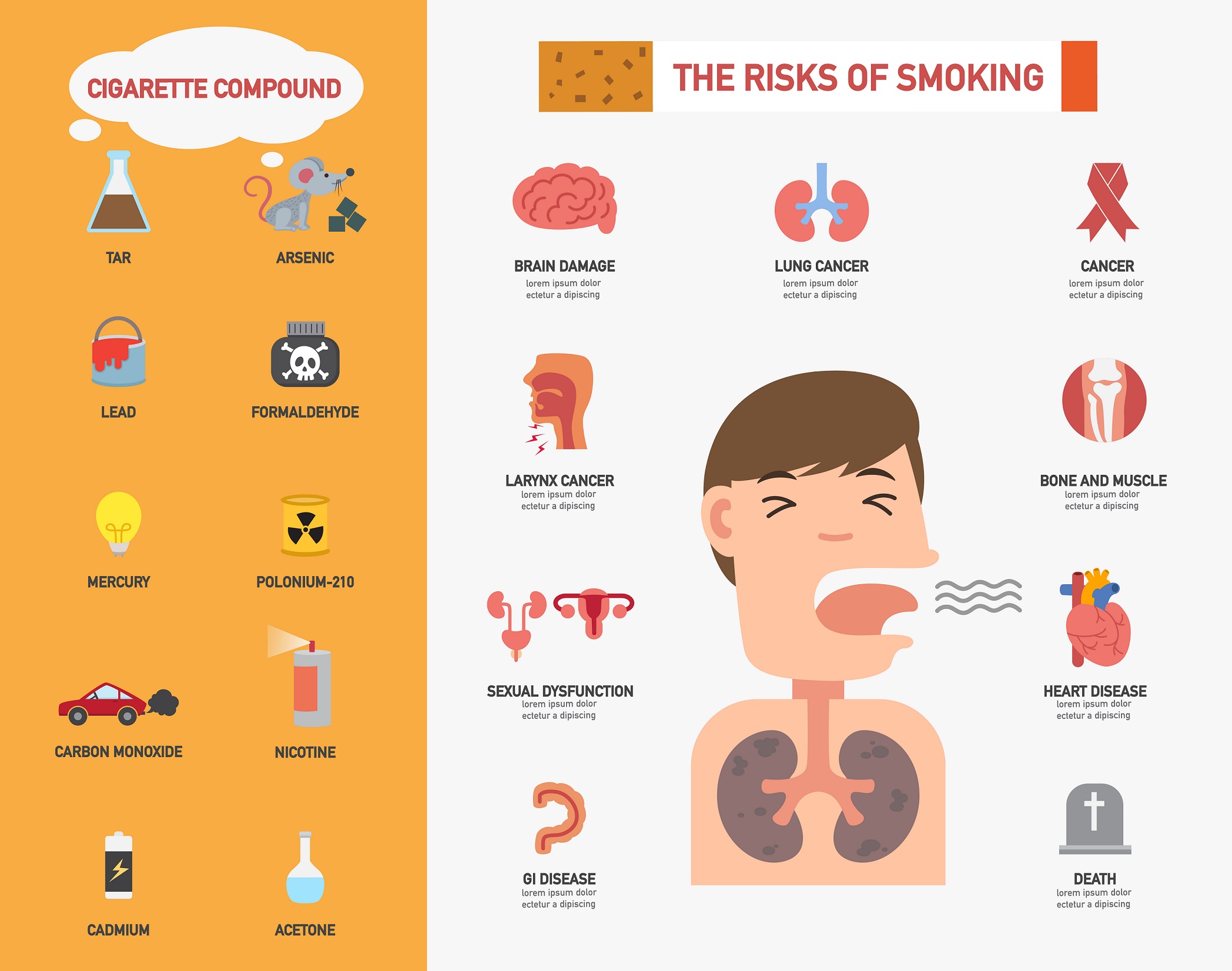 吸烟对人体的影响
