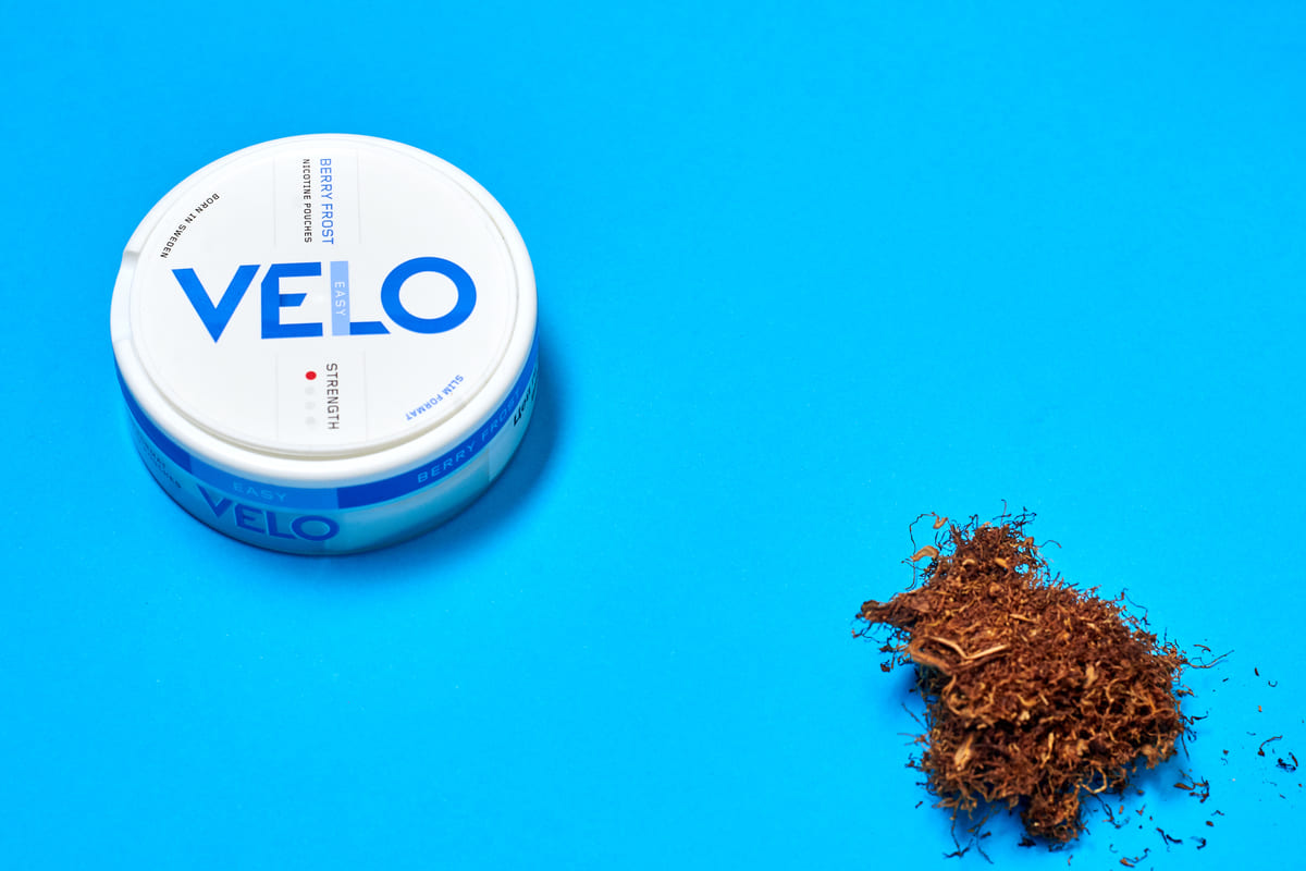 尼古丁袋velo口味